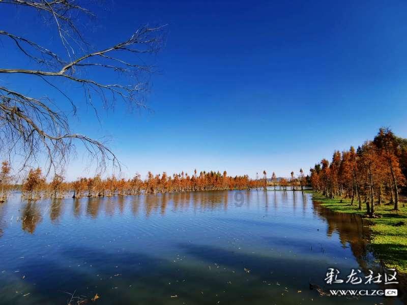 逃离撒丁岛