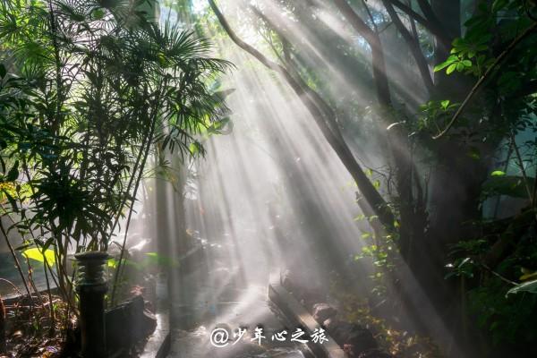 明天主线任务：“逛”年货大街，支线任务：抢福袋