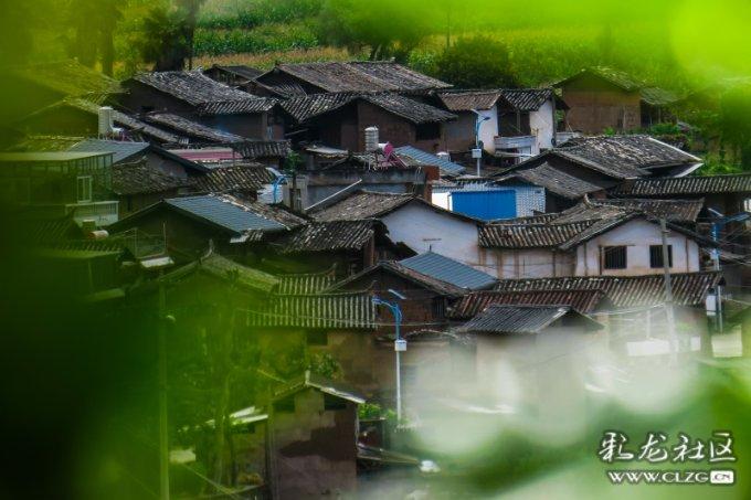 64岁阿姨的降血脂秘诀：常吃这一零嘴，医生都称赞